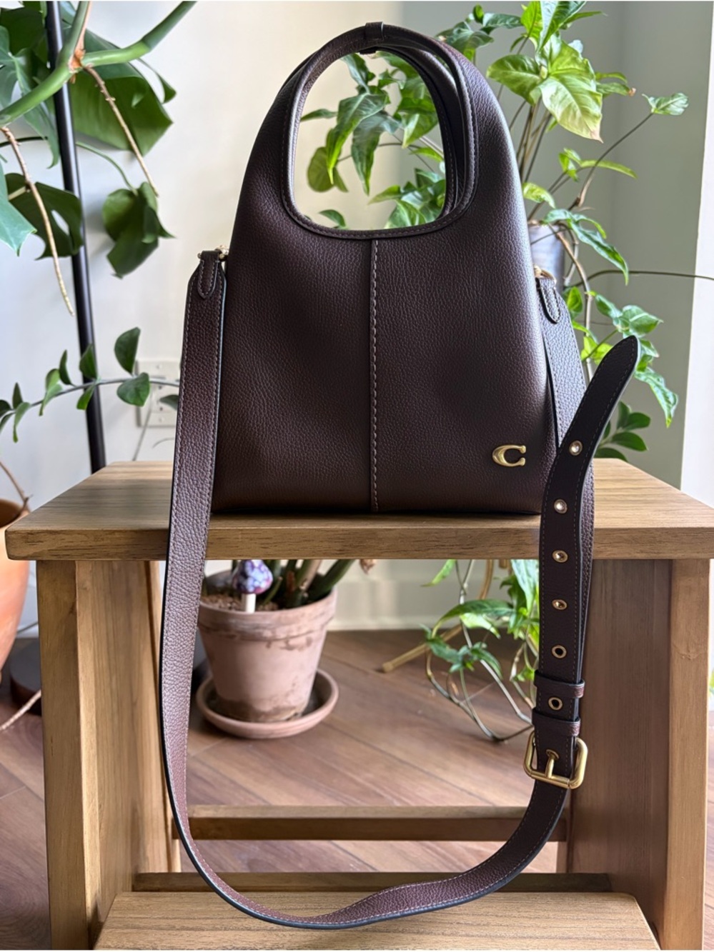 Brass/Maple Lana Coach Handbag - Picture 5 of 13